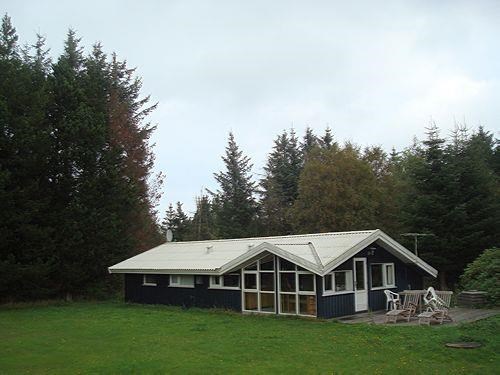Sommerhus til 6 personer i Svinkløv