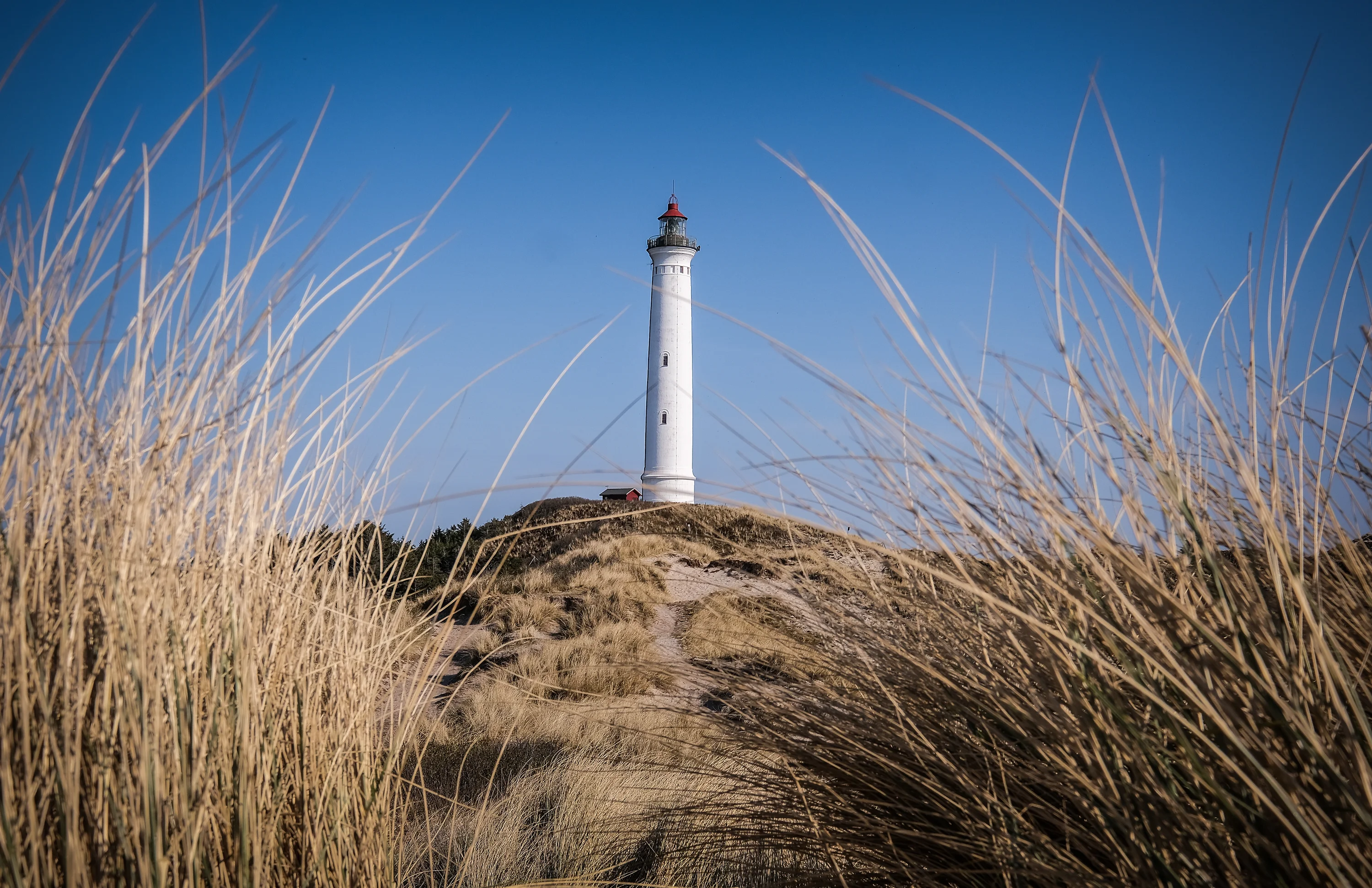 AdobeStock_533216088-preview (1)
