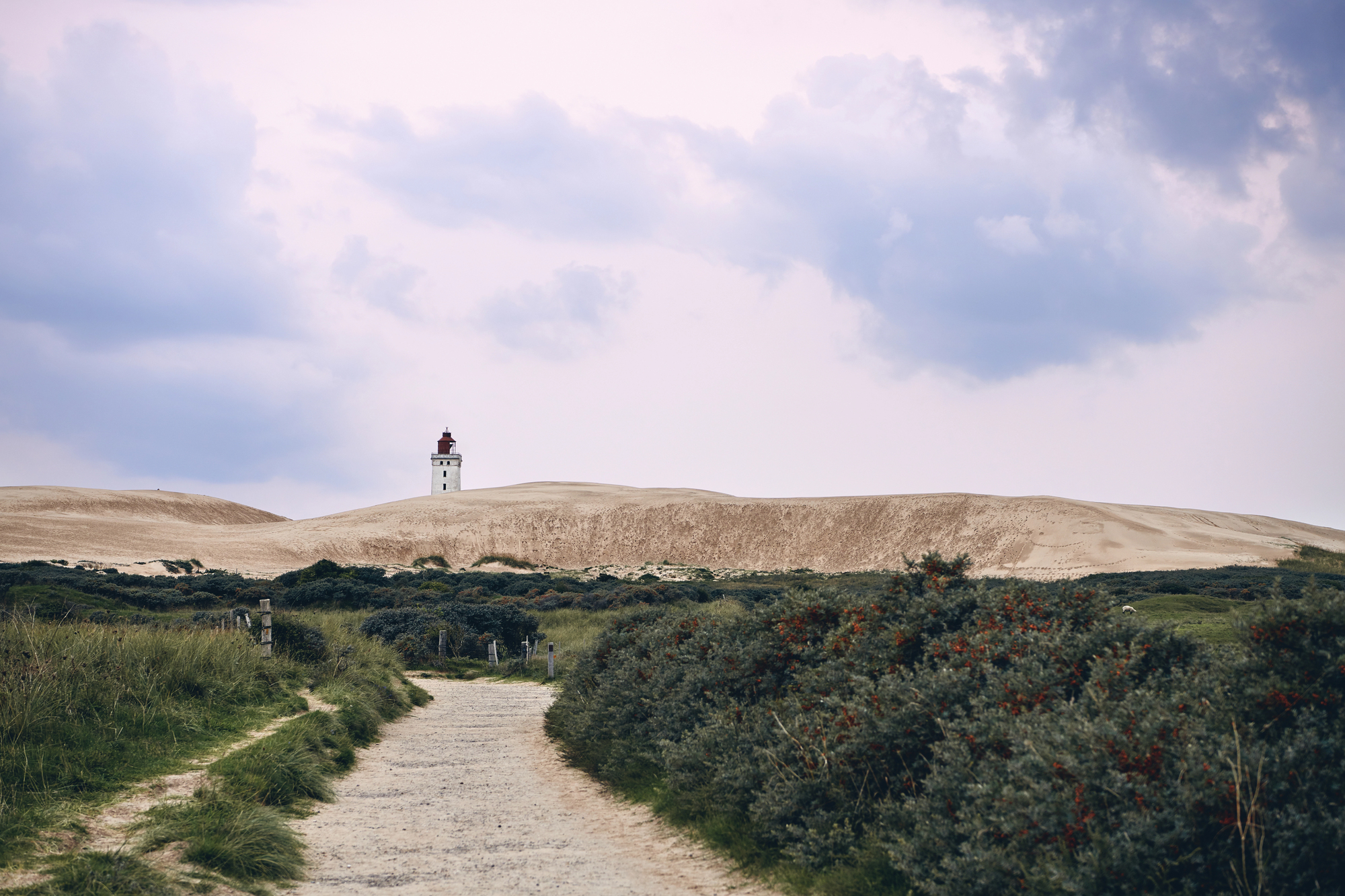 Depositphotos_247175764_L