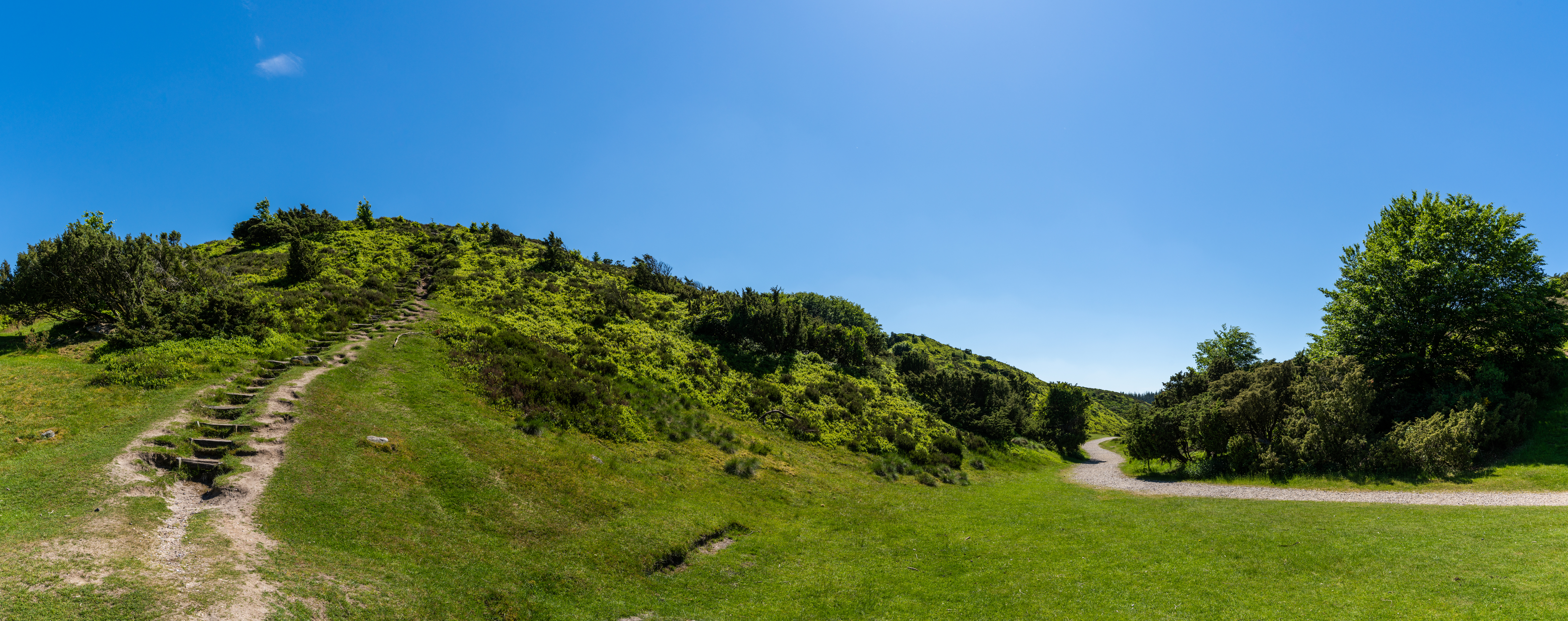 Depositphotos_481694574_XL