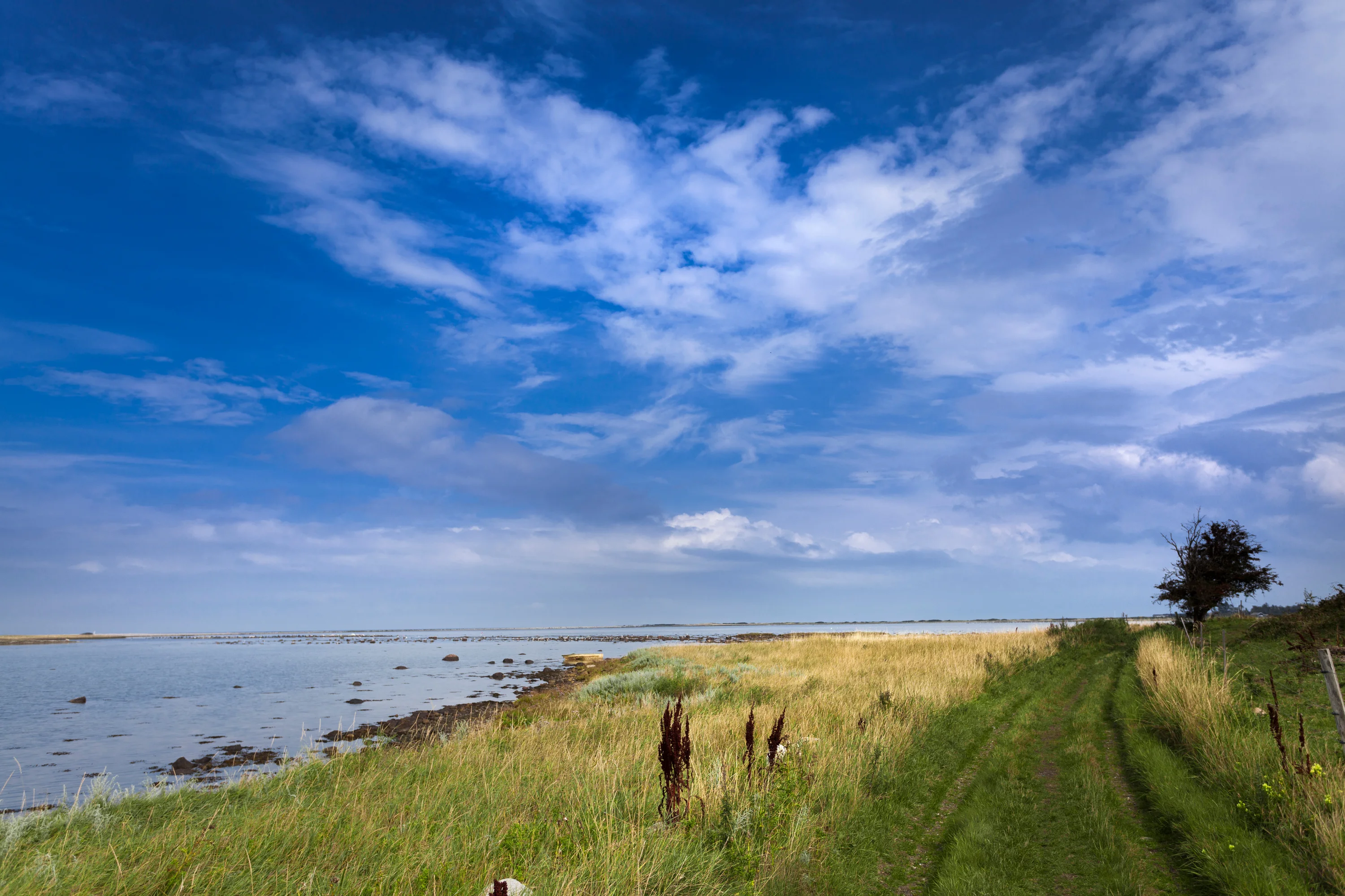 AdobeStock_254605324-preview