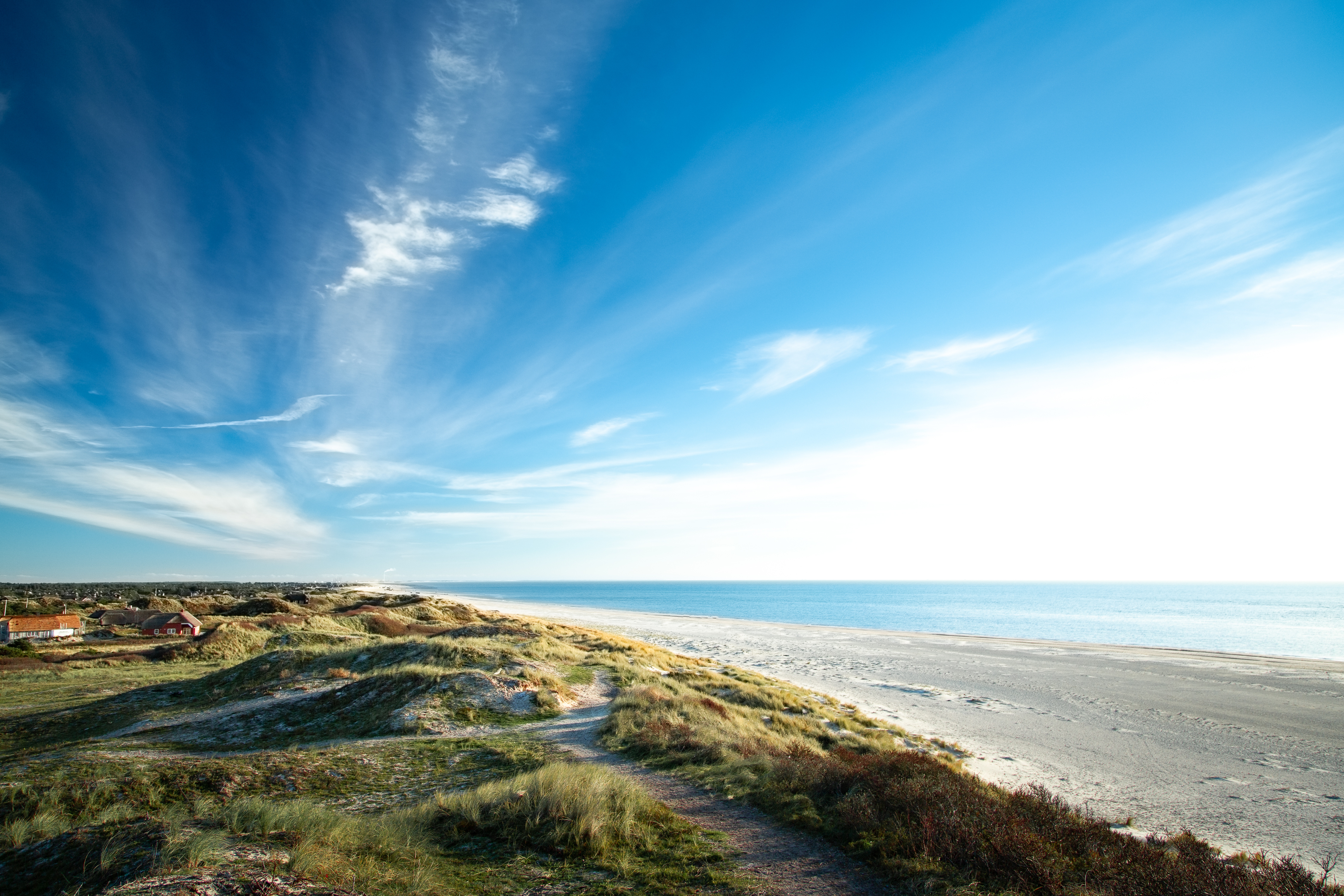 AdobeStock_238584633