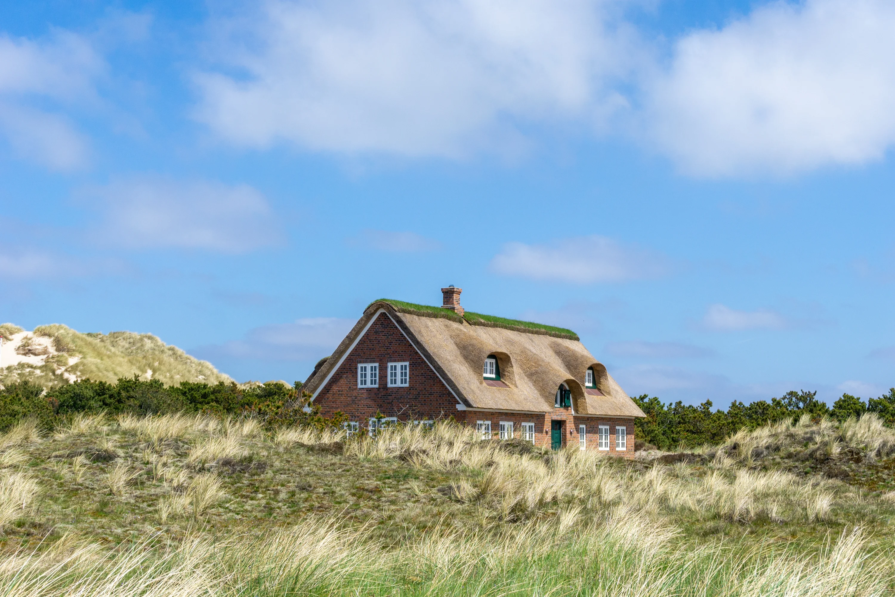 AdobeStock_437757062-preview