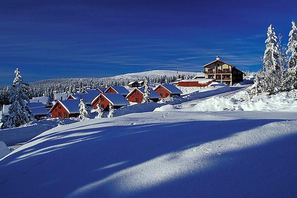 Feriehus til 5 personer i Lillehammer