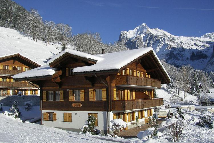 Ferielejlighed til 2 personer i Grindelwald